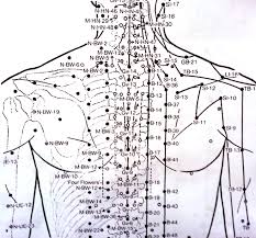 Acupuncture Points In The Upper Back My Designs All Started