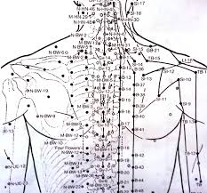 acupuncture points in the upper back my designs all started