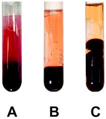 High Total Protein Impairs Appropriate Gel Barrier Formation