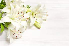 These days, many people choose to send flowers about a week after the funeral as taken place once the initial phase of sadness and grieving has passed. Choosing The Right Sympathy Flowers For Buddhist Funerals