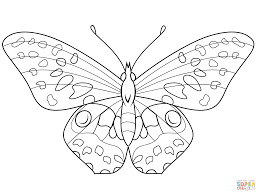 Ausmalbilder Schmetterling Malvorlagen Kostenlos Zum