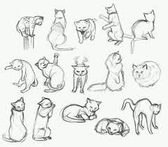 Some gesture drawings made almost a year after i stopped drawing 2 minutes drawing timing issues with custom classes (bug to fix!) how can i improve my gesture drawings? Cat References Animal Drawings Cats Art Drawing Cat Sketch