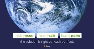 We Re A Global Movement Of Regenerativefarmers Land Managersour Networkconscientiousconsumers Brandslan In 2020 Healthy Grass Holistic Management Social Well Being
