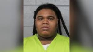 Minh the snake says “hiss me I'm Irish”