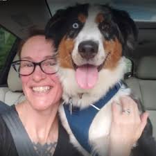 Mini Australian Shepherds For Sale Near Kentucky