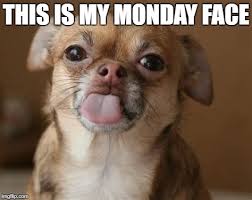 Here are 15 of the beset that will get those wheels turning in your head! The Chihuahua Hates Mondays Imgflip