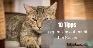 Er pinkelt alles voll, er setzt sich hinter sie und pinkelt zum beispiel auf die decke, geht danach aber hin und schnurrt und. Erste Hilfe Gegen Unsauberkeit Bei Katzen Das Kannst Du Machen Wenn Deine Katze Uberall In Der Wohnung Hinpinkelt Katzen Katze Pinkelt Katzen Klo