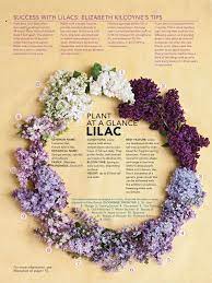 Pin By Leann Kruger On Lilacs Lilac Bloom Country Gardening