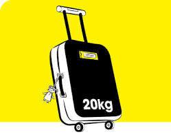Baggage Allowance Policy Rules