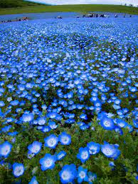 Pin On The World Is Beautiful
