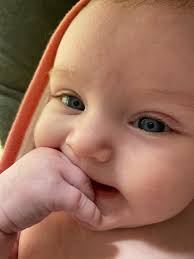 Emory Nicole Ray Obituary