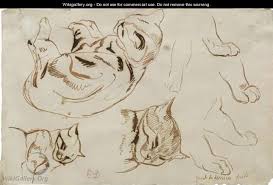 The integumentary system is the skin and fur that cover the animal's body. Sheet Of Studies Of A Sleeping Cat Eugene Delacroix Wikigallery Org The Largest Gallery In The World