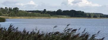 I første program tager drengene på andejagt på randers fjord et par dage i oktober. Kyster I Randers Kommune Lex Dk Trap Danmark