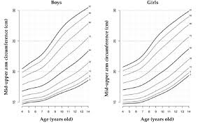 percentiles for mid upper arm circumference among boys and