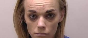 Couple arrested for thefts involving several northern Michigan areas