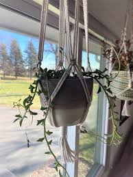 If you've ever wondered whether hanging upside down for too long can kill you, the answer is yes. Lighting For Indoor Plants And Starting Seeds Umn Extension