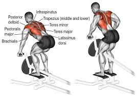 Find deals on products in sports & fitness on amazon. 10 Seated Cable Row Alternative Exercises For Building A Massive Back