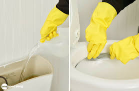 After that time, open the box of baking soda and sprinkle it all over the toilet. How To Remove Mineral Buildup In Your Toilet S Siphon Jets