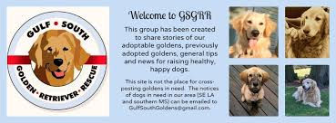 Find a golden retriever rescue near you. Gulf South Golden Retriever Rescue Facebook