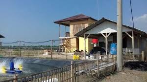 Bambang Marwoto Desak Perhutani Tertibkan Bangunan Liar Di Jayamukti