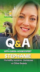 #HatchingTime Humisonic VS Others full video