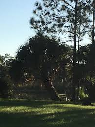 0 reviews, 0 photos, & 0 tips from fellow rvers. Dupuis Reserve Canal Point 2021 All You Need To Know Before You Go Tours Tickets With Photos Tripadvisor