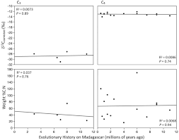 Image result for Digitaria pseudodiagonalis