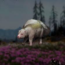 Skunk look rdr2 / native americans of rdr2 online page 3 red dead online gtaforums.they are rarely found in grizzlies west. Abalone Shell Fragment Location Red Dead Redemption 2 Primewikis