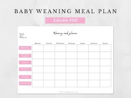 Baby Weaning Meal Plan Editable Template A4 A5 Digital Etsy Singapore