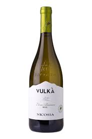 Image result for Nicolasia