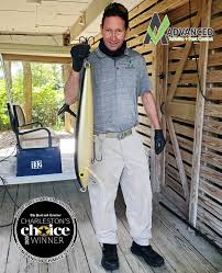 Located in ladson, south carolina, apex pest control is a professional pest management company that serves clients in the wider summerville metropolitan area, including north charleston, goose creek, and knightsville. 27 Termites Ideas Termites Pest Control Termite Control