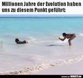Millionen Von Jahren Der Evolution Haben Uns An Diesen Punkt Gebracht Lustige Bilder Spr Bilder Der Lustige Humor Bilder Lustige Bilder Humor Bilder