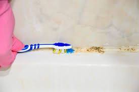 This is a brilliant little lifehack that will kill ugly black mold.we've been asked how to remove black mould from the silicone around shower trays many time. Black Mold In The Shower Here S How To Remove It Mold Help For You