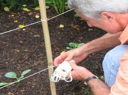 The addition of a vegetable garden fence around the perimiter of the garden can make all the difference between a well integrated and a poorly. How To Build A Simple Fence Around A Vegetable Garden How Tos Diy