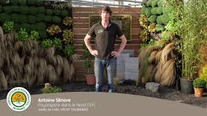 Tu peut te faire une petite fontaine intérieur, avec un peu d'imagination tu fais une cascade. Comment Creer Et Mettre En Place Un Jardin Zen Youtube