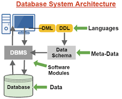 Adalah skema yang memuat deskripsi basis data secara keseluruhan untuk semua pemakai. Dbms Database Management System Universitas Raharja