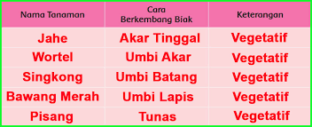 Kunci jawaban tema 1 kelas 6 halaman 34 35 37, subtema 1 pembelajaran 3. Kunci Jawaban Buku Siswa Kelas 6 Tema 1 Subtema 1 Pembelajaran 3 Halaman 34 35 37 Sanjayaops