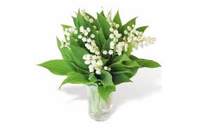 En effet, tout va se jouer sur le fait que vous gardiez ou pas les racines des brins de muguet. Bouquet Rond De Brin De Muguet Livraison De Fleurs 1er Mai L Agitateur Floral