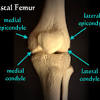 Epicondyle refers to a protuberance on the condyle of a long bone. 1