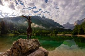 Deutschlebenshaltungskosten in slowenien portuguêscusto de vida na eslovênia italianocosto della vita in slovenia françaiscoût de la vie en slovénie españolcosto de vida en eslovenia. Une Semaine En Slovenie Une Magnifique Decouverte Blog De Voyage Tutoriels Photos Lifestyle