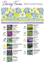 Daring Forms With Longfield Gardens Thinking Outside The Boxwood Longfield Gardens Flower Garden Plans Allium Garden