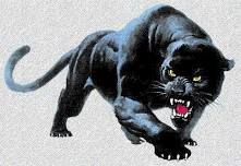Monroe Township Varsity Football @ Perth Amboy