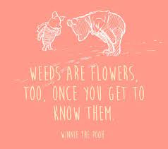 Maybe you would like to learn more about one of these? Weeds Are Flowers Too Once You Get To Know Them Winnie The Pooh Best Friend Quotes Meaningful Children Book Quotes Friends Quotes