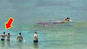 We did not find results for: 15 Real Life Mermaid Sightings From History Youtube