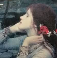 Shale Studio Campo Creativity Centre