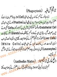 These tests can detect pregnancy earlier than a home pregnancy test, about 6 to 8 days after ovulation. Serology Definition In Urdu