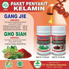 Sketsa gambar wanita berhijab dari samping. Jual Obat Sipilis Kencing Nanah Gonore Gang Jie Gho Siah Jakarta Pusat In Stor Tokopedia