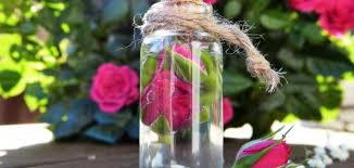 تقطير ماء الورد في العين إستشاري