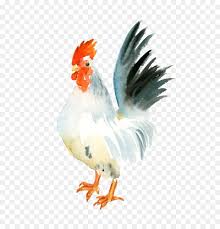 Hier bei ausdrucken.eu findet ihr eine vielzahl von kalendern, spielvorlagen, gutscheinen, karten und ausmalbildern zum kostenlosen ausdrucken. Huhn Aquarell Hahn Papier Grossen Weissen Hahn Png Herunterladen 736 921 Kostenlos Transparent Geflugel Png Herunterladen