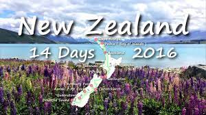 I am proud to call these people my. New Zealand Trip In 14 Days Digest Youtube